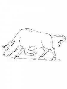 Bull coloring page - picture 39