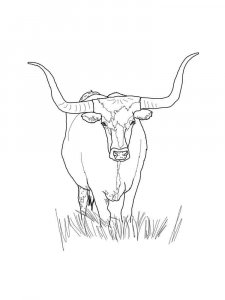 Bull coloring page - picture 5