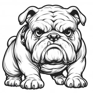 Bulldog coloring page - picture 14
