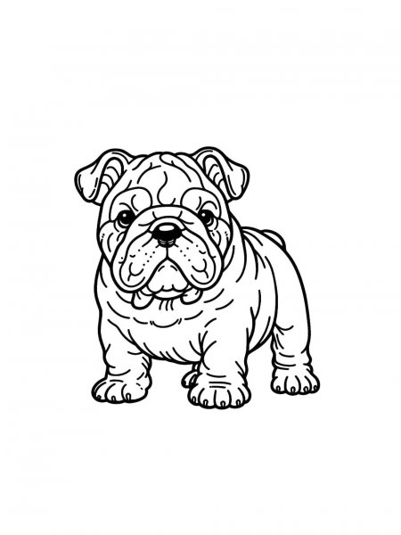 Free printable Bulldog coloring pages