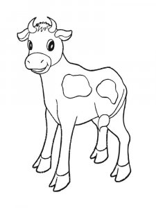 Calf coloring page - picture 1