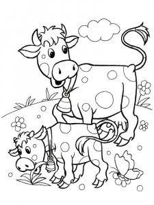Calf coloring page - picture 12