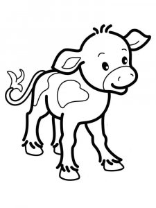 Calf coloring page - picture 22