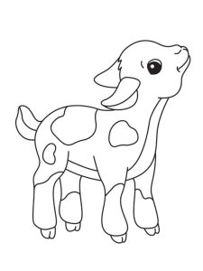 Calf coloring page - picture 23