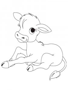 Calf coloring page - picture 4