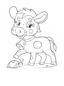 Calf coloring page - picture 5