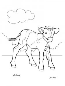 Calf coloring page - picture 8