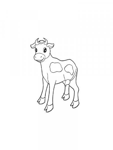 Calf coloring pages