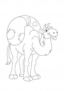 Pack Camel Coloring Page
