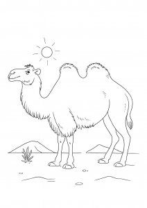 Charming Camel Coloring Page