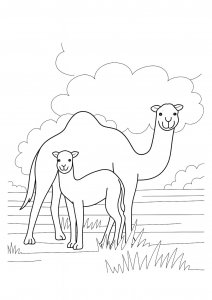 Camel Family Coloring Page