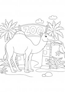 Camel at the Zoo Coloring Page