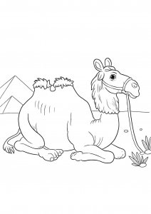 Lying Camel with Pyramids Coloring Page