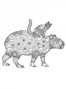 Capybara coloring page - picture 1