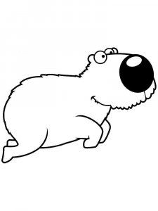 Capybara coloring page - picture 13