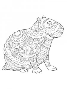 Capybara coloring page - picture 14