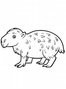 Capybara coloring page - picture 15