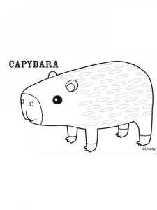 Capybara coloring page - picture 16