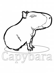 Capybara coloring page - picture 17