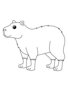Capybara coloring page - picture 2