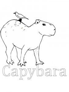 Capybara coloring page - picture 3