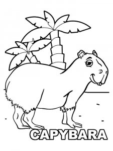 Capybara coloring page - picture 8