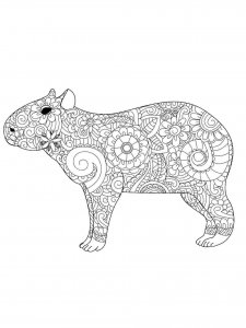 Capybara coloring page - picture 9