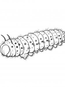 Realistic Caterpillar Coloring Page