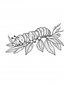 Caterpillar Crawling on a Branch Coloring Page