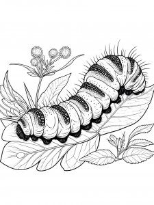 Realistic Caterpillar on a Leaf Coloring Page