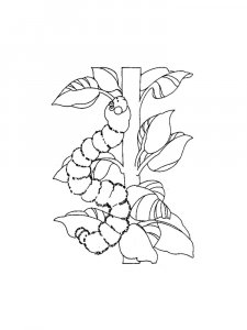 Caterpillar Crawling Upward Coloring Page