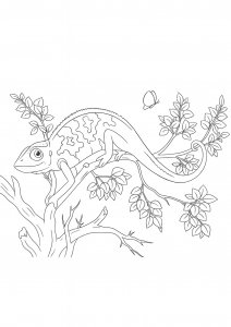 Camouflaged Chameleon Coloring Page