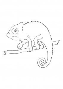 Charming Chameleon Coloring Page
