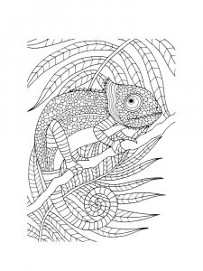Stress Relief Chameleon for Adults Coloring Page
