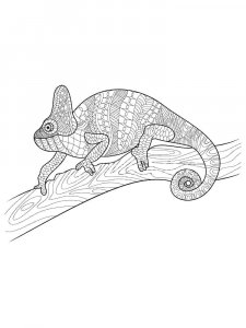 Sneaking Chameleon Coloring Page