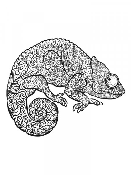 Chameleon coloring pages