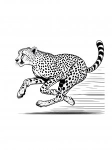 Realistic Cheetah Coloring Page