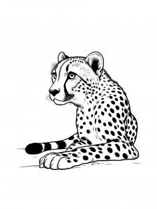 Cheetah Portrait Coloring Page