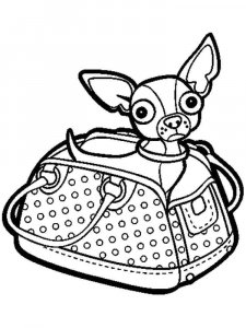 Chihuahua coloring page - picture 10
