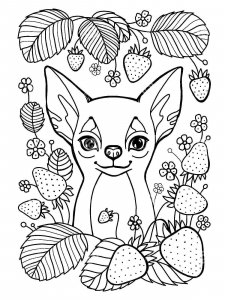 Chihuahua coloring page - picture 11