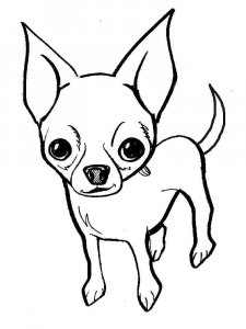Chihuahua coloring page - picture 13
