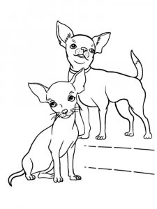 Chihuahua coloring page - picture 17