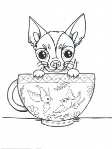 Chihuahua coloring page - picture 2