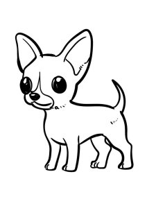 Chihuahua coloring page - picture 22