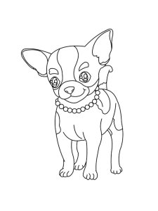 Chihuahua coloring page - picture 23