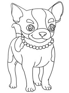 Chihuahua coloring page - picture 24