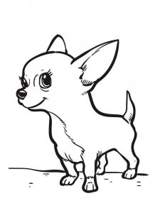 Chihuahua coloring page - picture 5
