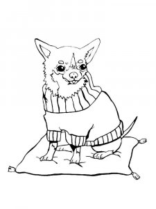 Chihuahua coloring page - picture 6