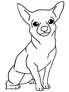 Chihuahua coloring page - picture 9