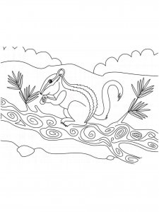 Chipmunk coloring page - picture 10